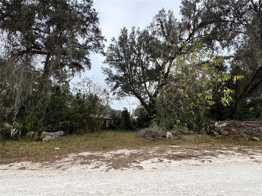291 SE 81ST STREET, OCALA, FL 34480