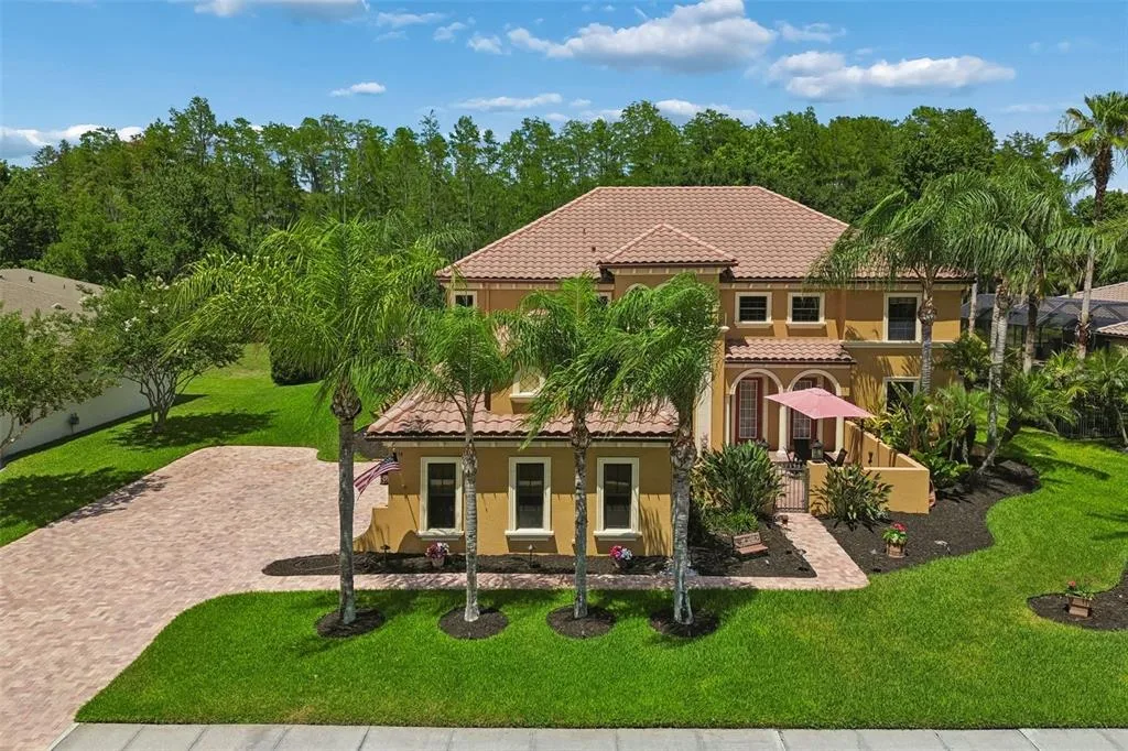 3654 BALLASTONE DRIVE, LAND O LAKES, FL 34638