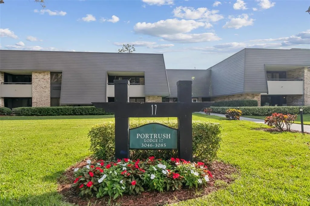 36750 US HIGHWAY 19 N # 17208, PALM HARBOR, FL 34684