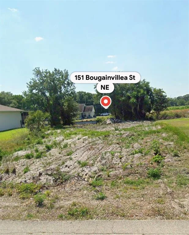 151 BOUGAINVILLEA STREET NE, LAKE PLACID, FL 33852
