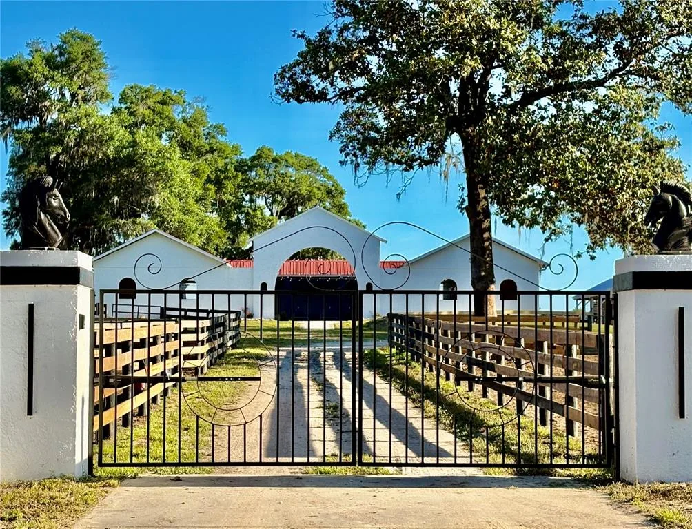 1575 NE 100TH STREET, ANTHONY, FL 32617