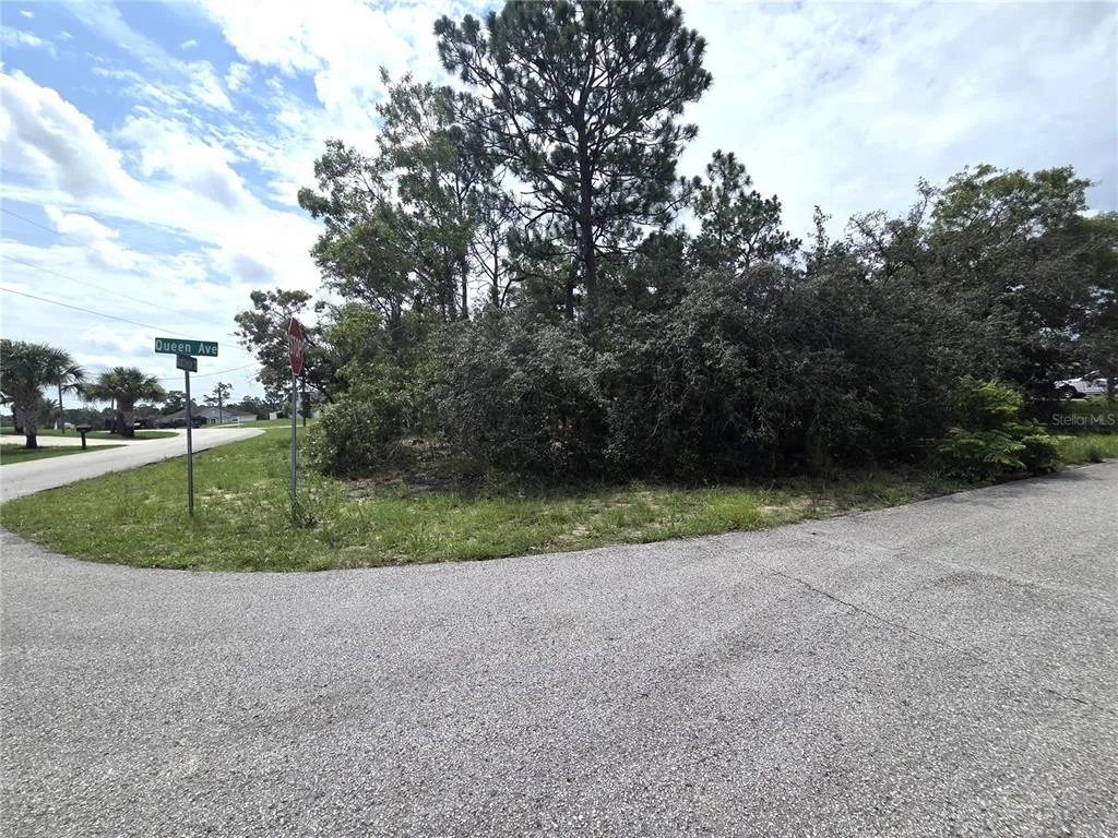 13106 SCOTTVILLE STREET, SPRING HILL, FL 34609