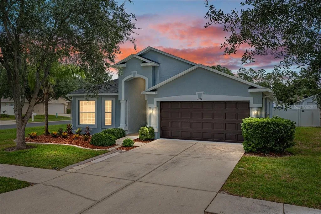 4224 BRANCHSIDE LANE, WESLEY CHAPEL, FL 33543