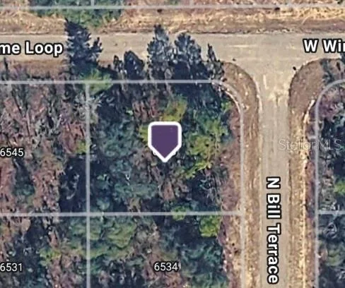 6548 N BILL TERRACE, CITRUS SPRINGS, FL 34434