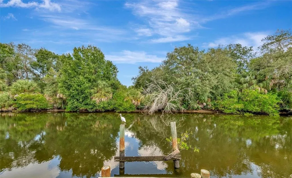 236 N SAINT THOMAS CIRCLE, APOLLO BEACH, FL 33572