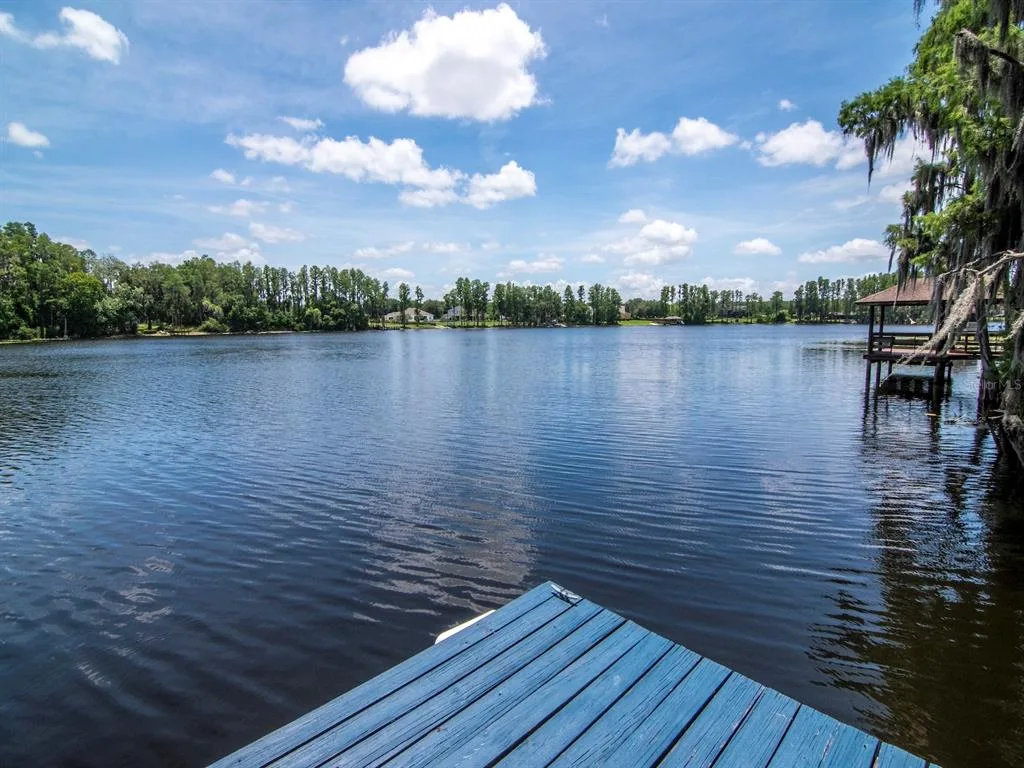 219 WILLOW BEND PARKWAY, LUTZ, FL 33549
