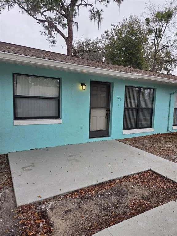 743 E ALFRED STREET, TAVARES, FL 32778