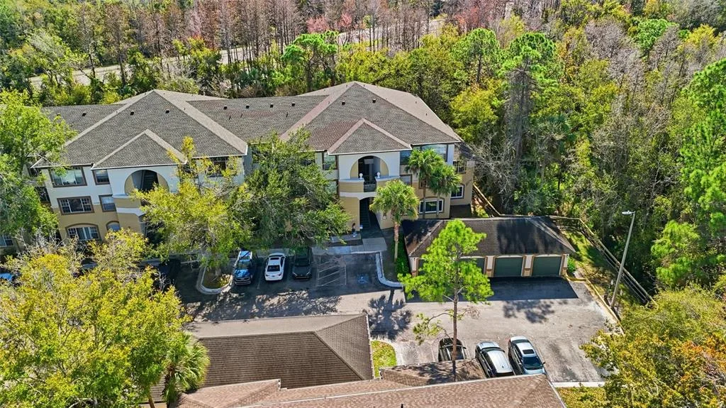 17106 CARRINGTON PARK DRIVE # 623, TAMPA, FL 33647