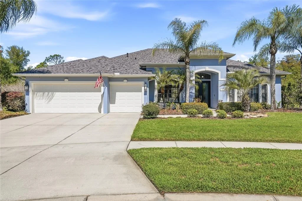 7101 HATPIN LOOP, WESLEY CHAPEL, FL 33545