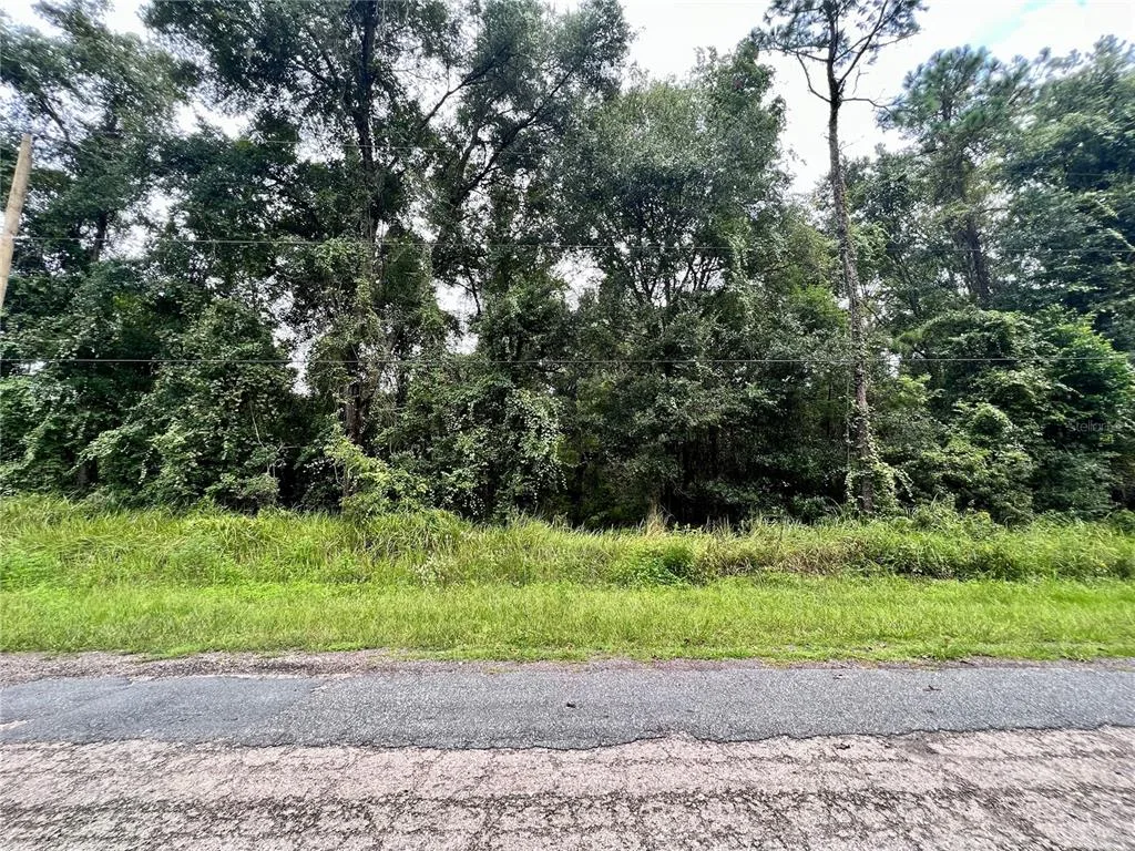 303 W ERIDANI COURT, CITRUS SPRINGS, FL 34434